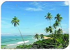 SRI LANKA PACKAGES